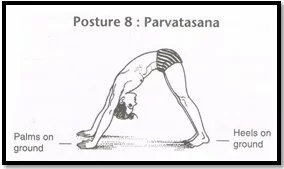 posture-8